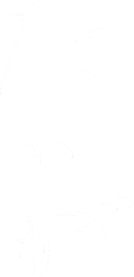 たいが